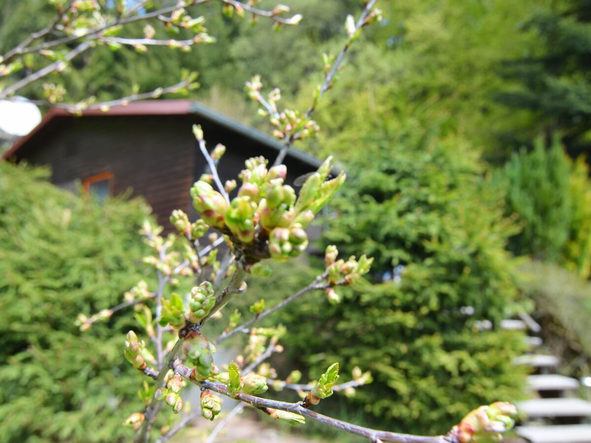 Holiday Home With Terrace Stadlern Extérieur photo